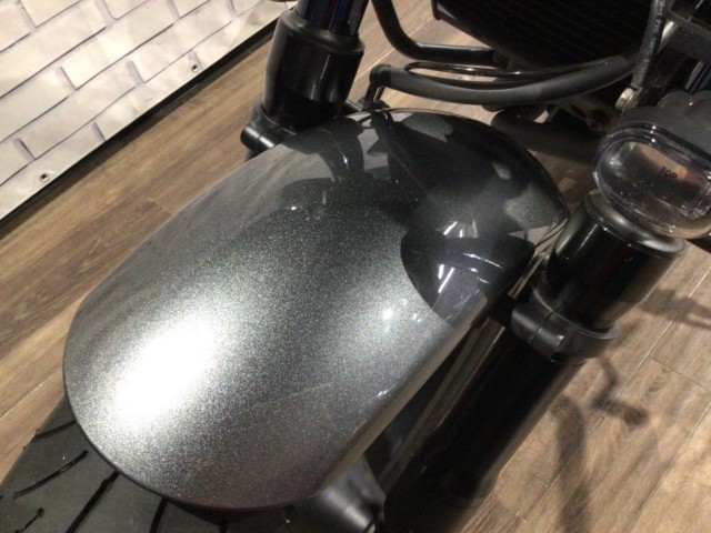 �z���_���u��1100�i���Q�����R�s�j�摜19