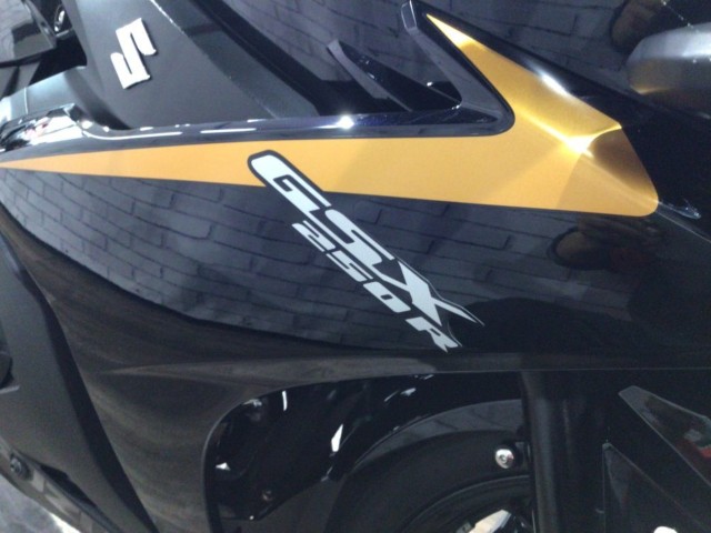 �X�Y�LGSX250R�i���Q�����R�s�j�摜21
