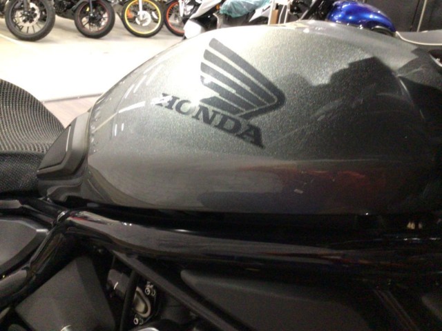 �z���_���u��1100�i���Q�����R�s�j�摜24