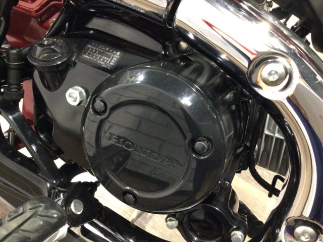 �z���_�_�b�N�X125�i���Q�����R�s�j�摜23