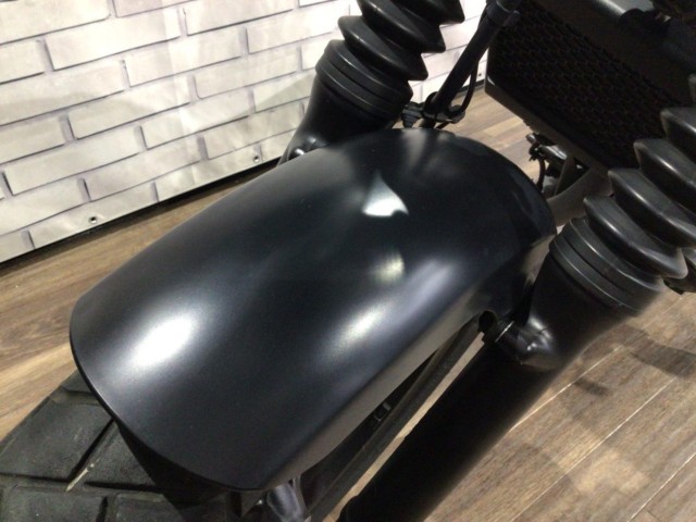 �z���_CL250�i���Q�����R�s�j�摜19