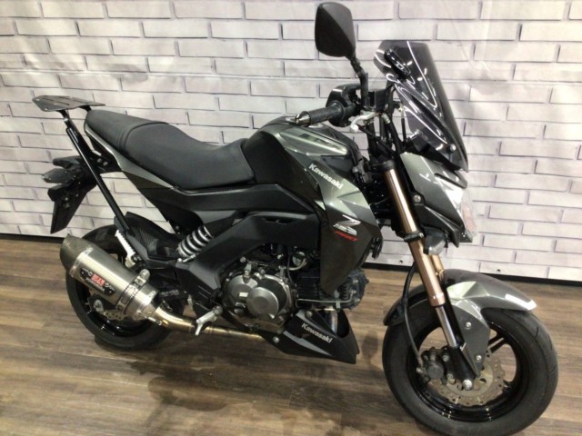 �J���T�LZ125 PRO�i���Q�����R�s�j�摜1