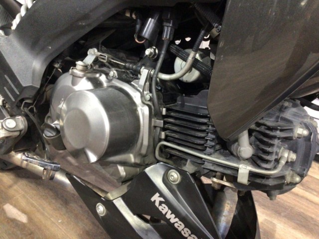 �J���T�LZ125 PRO�i���Q�����R�s�j�摜4