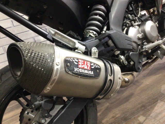 �J���T�LZ125 PRO�i���Q�����R�s�j�摜7
