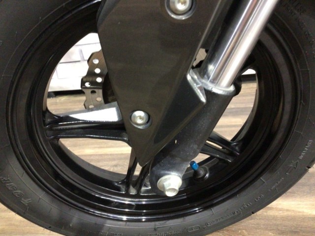�J���T�LZ125 PRO�i���Q�����R�s�j�摜10