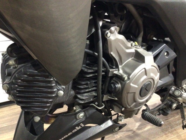 �J���T�LZ125 PRO�i���Q�����R�s�j�摜11