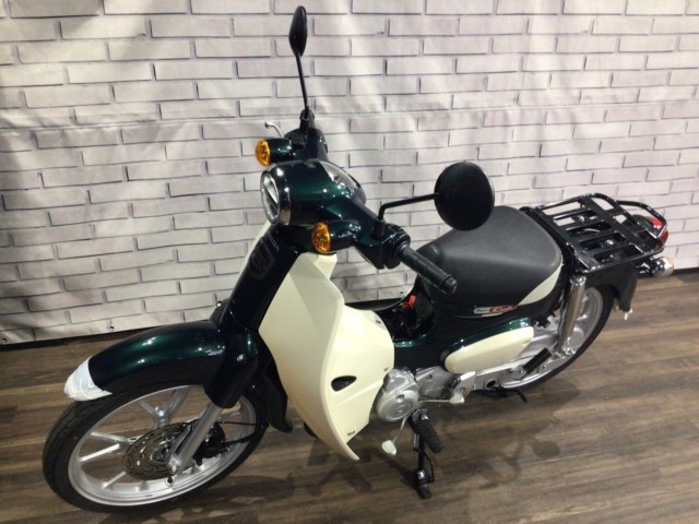 �z���_�X�[�p�[�J�u110�i���Q�����R�s�j�摜9