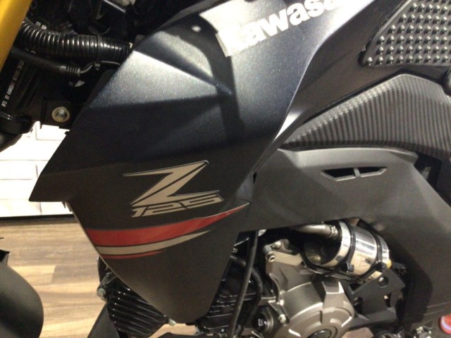 �J���T�LZ125 PRO�i���Q�����R�s�j�摜29