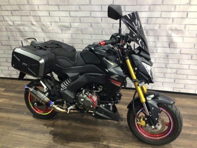 �J���T�LZ125 PRO�i���Q�����R�s�j�摜1