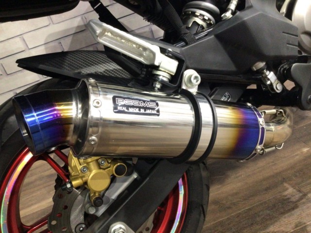 �J���T�LZ125 PRO�i���Q�����R�s�j�摜7