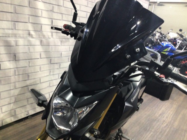 �J���T�LZ125 PRO�i���Q�����R�s�j�摜18