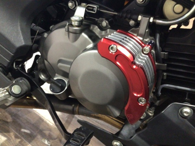 �J���T�LZ125 PRO�i���Q�����R�s�j�摜24