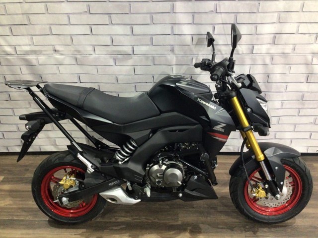 �J���T�LZ125 PRO�i���Q�����R�s�j�摜2