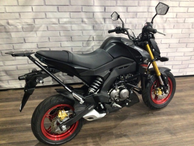 �J���T�LZ125 PRO�i���Q�����R�s�j�摜5