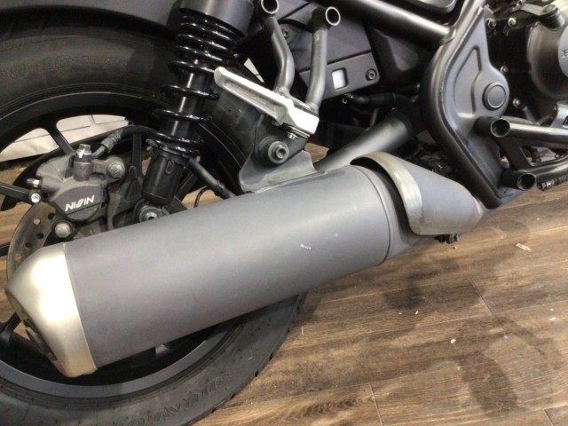 �z���_���u��250�i���Q�����R�s�j�摜7