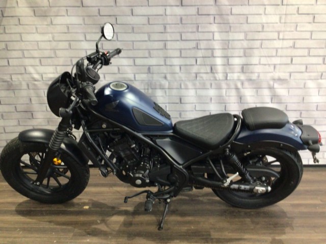 �z���_���u��250�i���Q�����R�s�j�摜8