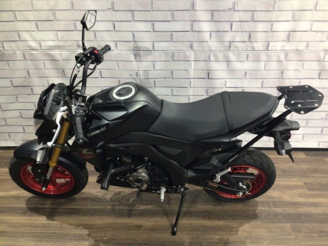�J���T�LZ125 PRO�i���Q�����R�s�j�摜8