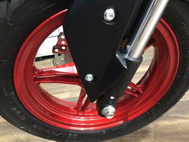 �J���T�LZ125 PRO�i���Q�����R�s�j�摜10