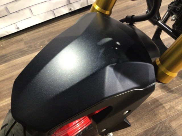 �J���T�LZ125 PRO�i���Q�����R�s�j�摜19