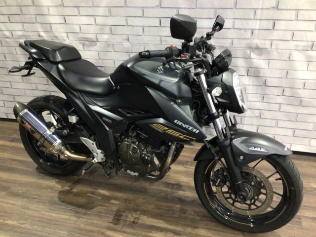 �X�Y�L�W�N�T�[250�i���Q�����R�s�j�摜1