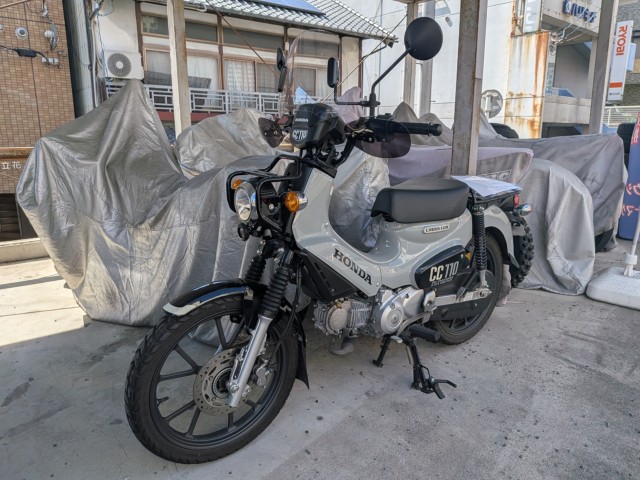 �z���_�N���X�J�u110�i���Q�����R�s�j�摜2
