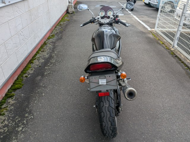 �X�Y�L�o���f�B�b�g250�i���쌧�����s�j�摜2