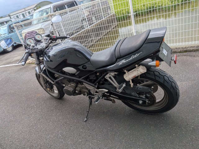 �X�Y�L�o���f�B�b�g250�i���쌧�����s�j�摜13