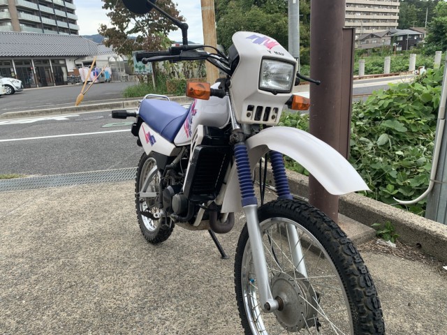 ���}�nDT50�i���������]�s�j�摜2