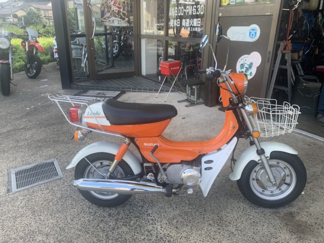 �X�Y�L�����f�B�i���������]�s�j�摜1
