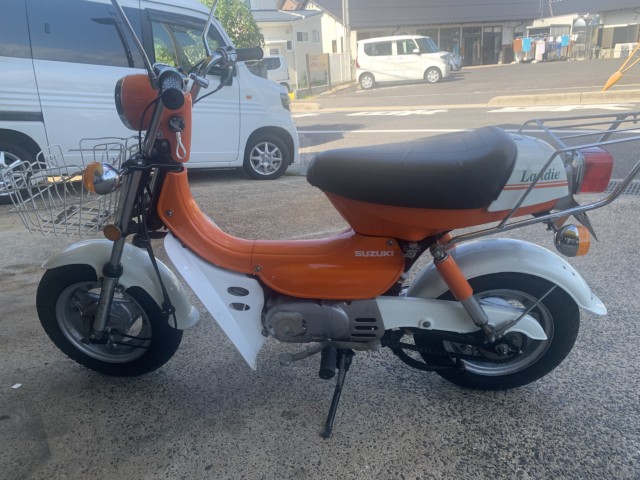 �X�Y�L�����f�B�i���������]�s�j�摜2