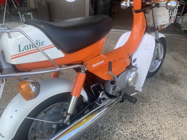 �X�Y�L�����f�B�i���������]�s�j�摜3