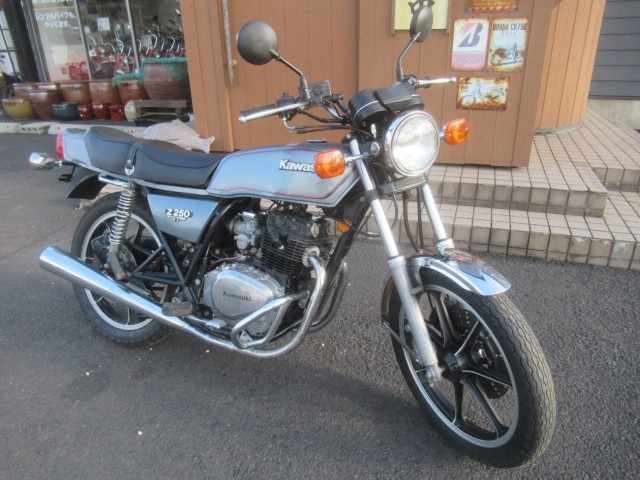 �J���T�LZ250FT�i�������o�_�s�j�摜1