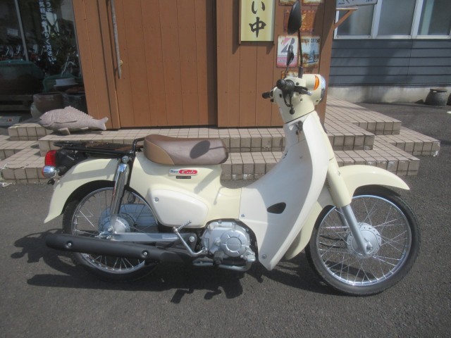 �z���_�X�[�p�[�J�u50�i�������o�_�s�j�摜2
