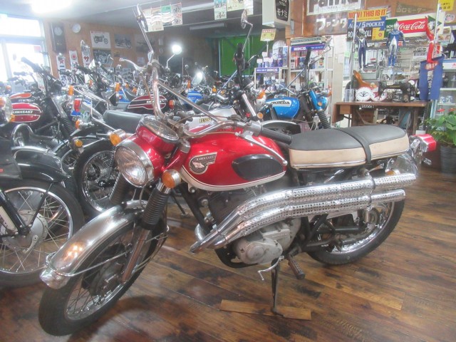 �J���T�LA1SS�i�������o�_�s�j�摜1