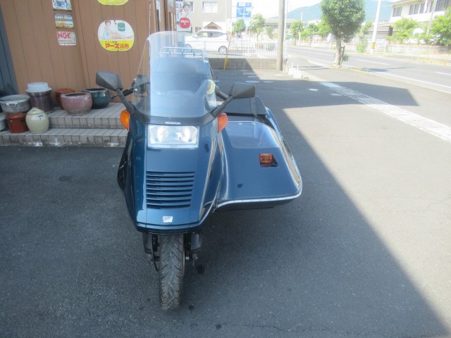 �z���_�t���[�W�����i�������o�_�s�j�摜5