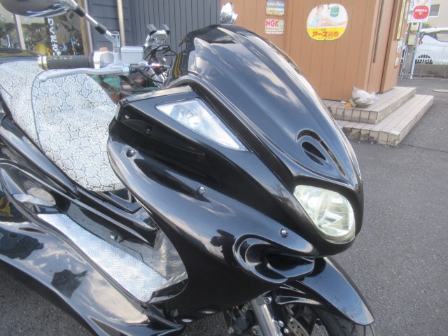 ���}�n�}�W�F�X�e�B250C�i�������o�_�s�j�摜8