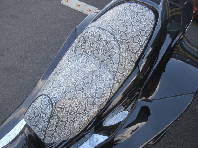 ���}�n�}�W�F�X�e�B250C�i�������o�_�s�j�摜10