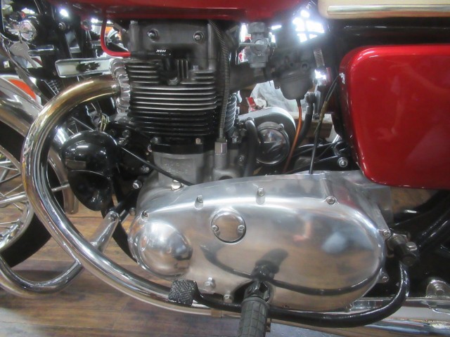 �J���T�LW1�i�������o�_�s�j�摜11