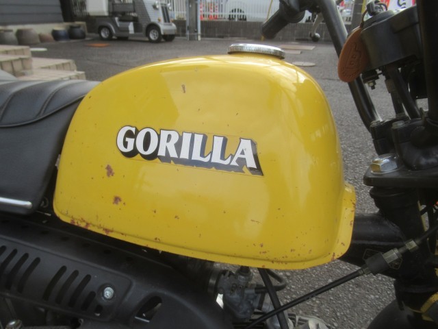 �z���_�S�����i�������o�_�s�j�摜13