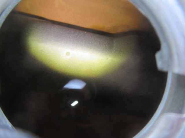 �z���_�S�����i�������o�_�s�j�摜17