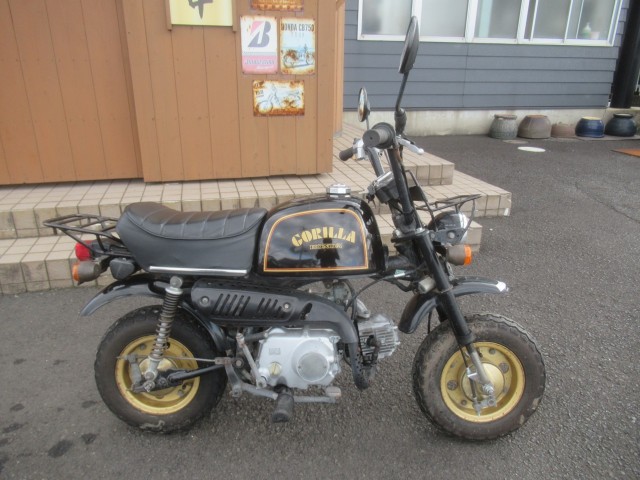 �z���_�S�����i�������o�_�s�j�摜2