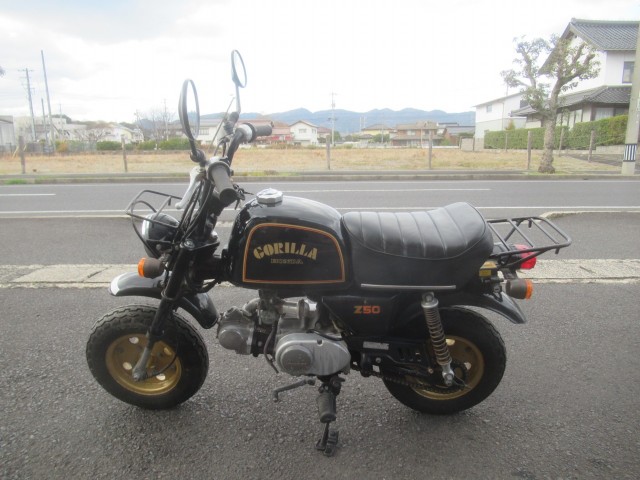 �z���_�S�����i�������o�_�s�j�摜3