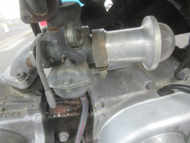 �z���_�S�����i�������o�_�s�j�摜9