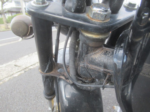 �z���_�S�����i�������o�_�s�j�摜13