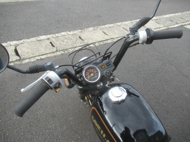 �z���_�S�����i�������o�_�s�j�摜14