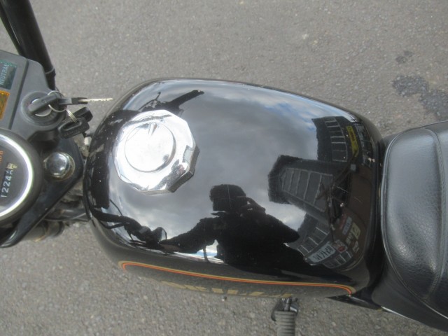 �z���_�S�����i�������o�_�s�j�摜15