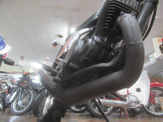 �z���_�G���V�m�A250�i�������o�_�s�j�摜13