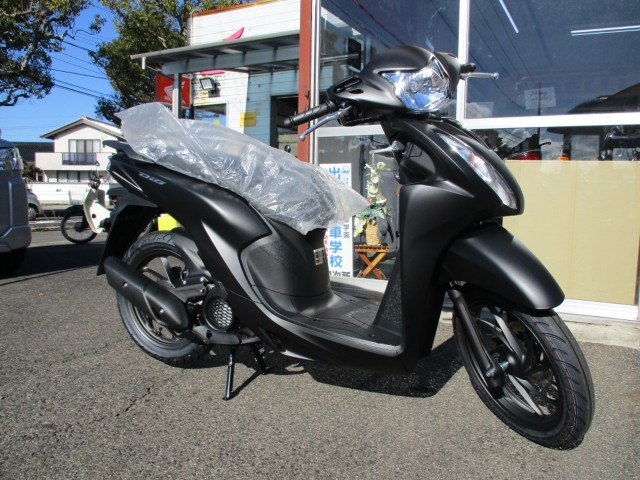 �z���_Dio110 Lite�i�������o�_�s�j�摜1