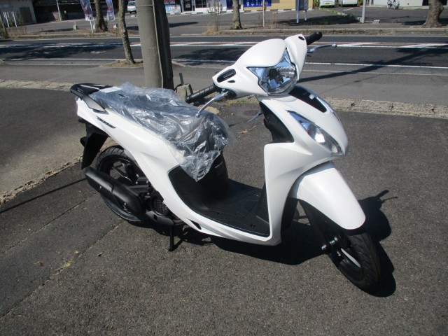 �z���_Dio110 Lite�i�������o�_�s�j�摜1