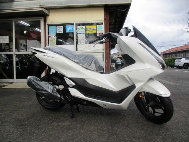 �z���_PCX�i�������o�_�s�j�摜1